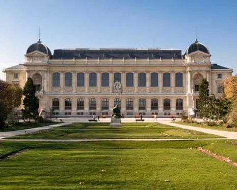 Priceless Golden Pieces Snatched in Audacious Raid at France's National Museum